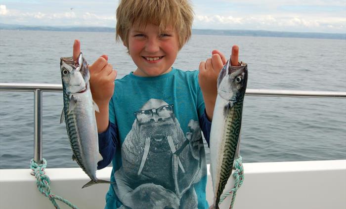 epic mackerel catch!